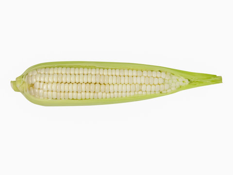 White Maize Corn