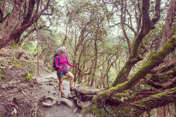 Naklejka na ściany i meble Trekker in the forest on the way to Annapurna base camp, Nepal