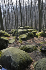felsenmeer im odenwald