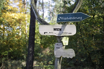 Naturlehrpfad in der Dübener Heide, Nordsachsen