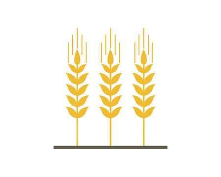 Line Art wheat rice bakery food farm agriculture logo Vector