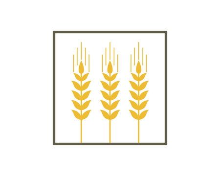 Line Art wheat rice bakery food farm agriculture logo Square