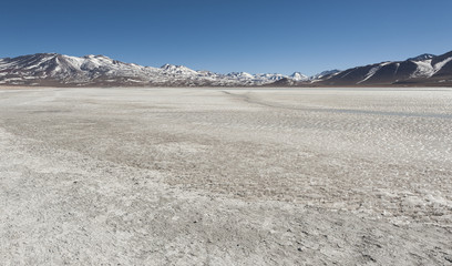 Laguna Blanca (White lagoon) and Licancabur volcano, Bolivia. Beautiful bolivian panorama.