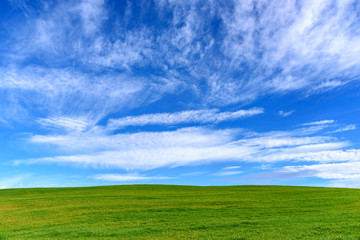 Fototapeta na wymiar green grass and blue sky, nature background
