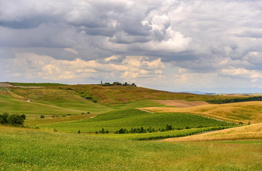 Fototapeta na wymiar farmland and green field in tuscany, Italy