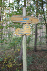 Naturlehrpfad in der Dübener Heide, Nordsachsen