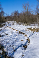 Fototapeta na wymiar hohes Venn als Naherholungsgebiet im Winter