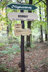 Naturlehrpfad in der Dübener Heide, Nordsachsen