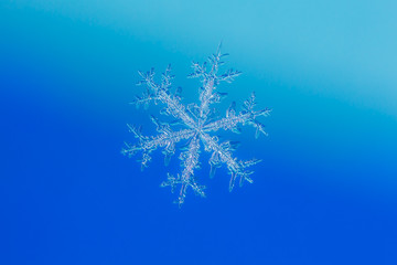 Ornate Snowflake on a Blue Background