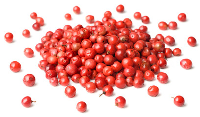 dried pink peppers isolated on white