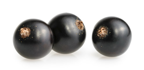 Black currant isolated on white background