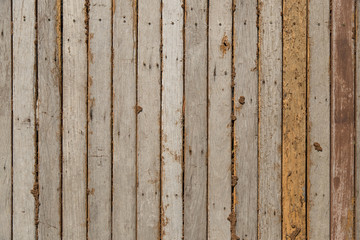 Old wooden background with knots and nail holes. Rustic style wallpaper. Timber texture