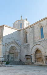 Fototapeta na wymiar Monastery of Vallbona de les Monges (Lerida)