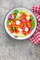 Vegetable dish, salad with bell pepper, tomato, italian mix, fresh lettuce and mozzarella cheese. Healthy food. Top view