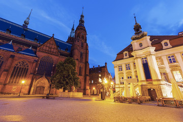 Fototapeta na wymiar Cathedral of Saints Peter and Paul and old Town Hall in Legnica