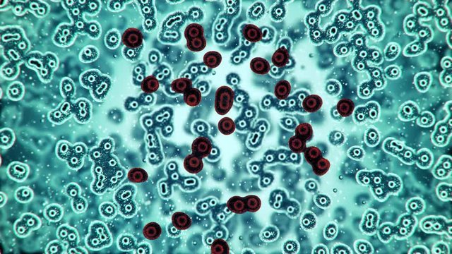 Microscopic plate of bacteria multiplying themselves 3d rendering
