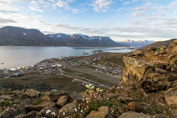 Fototapeta na wymiar Longyearbyen and the Advent fjord seen from Platafjellet, the Plata mountain, in Svalbard. Papavers and other flowers in the rocky foreground