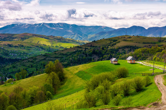 gorgeous countryside in Carpathian mountains. lovely nature scenery on a cloudy springtime day