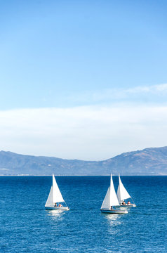 Fototapeta Luxury yachts at Sailing regatta in Santa Barbara