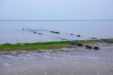 Zielona woda morska