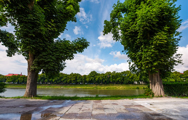 Fototapeta na wymiar beautiful chestnut alley in summer. tall trees on the Kyiv embankment of Uzhgorod town, Ukraine. open view to other bank of the river with linden alley on Nezalezhnosti embankment 