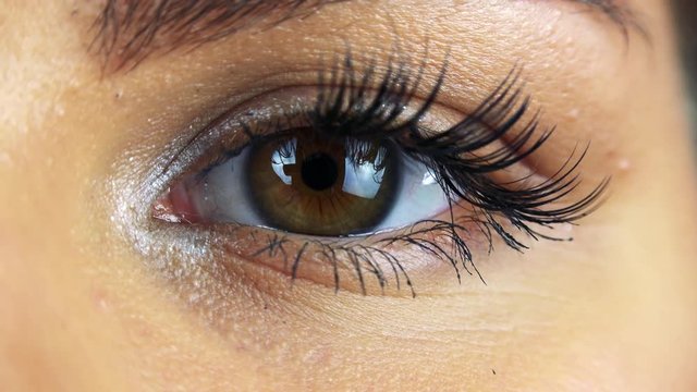 Closeup on a female eye