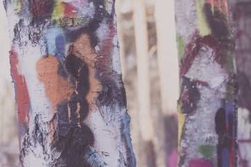 Abstract background of graffiti spray and tags on tree bark. Shallow depth of field. Colourful and warm. Close up of painting.