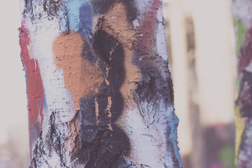 Abstract background of graffiti spray and tags on tree bark. Shallow depth of field. Colourful and warm. Close up of painting.