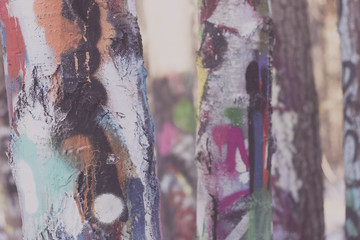 Abstract background of graffiti spray and tags on tree bark. Shallow depth of field. Colourful and warm. Close up of painting.