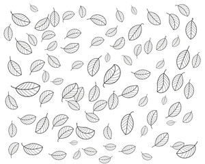 leaves pattern abstract background