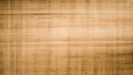 Antique papyrus as background, paper texture