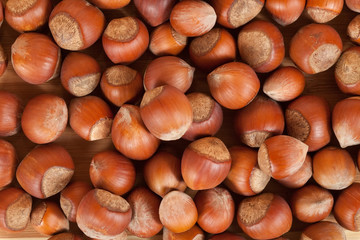 Hazelnut close-up. The idea for a background with nuts