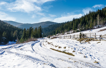 road through spruce forest in winter. lovely countryside on a sunny and frosty day