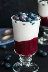 Blueberry coconut yogurt dessert garnished with fresh fruit