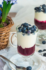 Blueberry coconut yogurt dessert garnished with fresh fruit