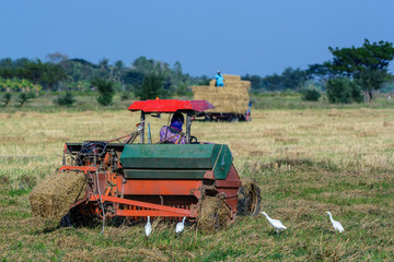 Farmer driving tractor in the fields  during haymaking in the countryside of Thailand.