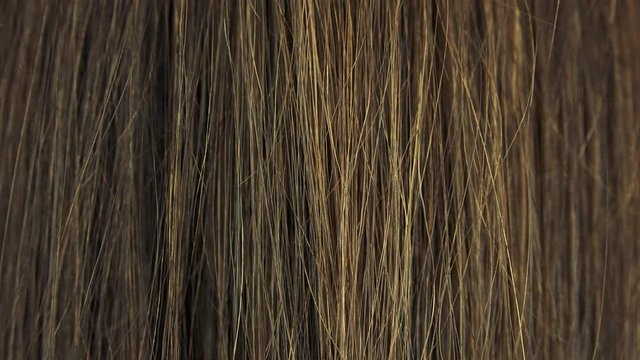 Closeup on brown female hair