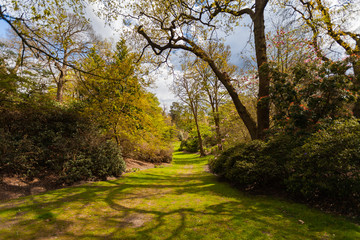 Obraz premium Green Trees in beautiful park with cloudy sky in the background, Wide angle, Spring
