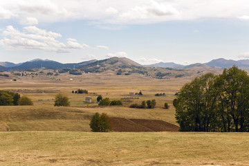 Fototapeta na wymiar mountains in the background and fields in the Park zabljak in Montenegro
