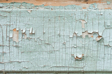 A large textured background the old yellow board is covered with green paint. Exfoliating green paint in large pieces missing on the wooden coating. The concept of ruin and vintage antiquity