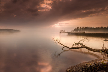 fog on the lake at the harbor