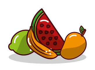 fruit  watermelon banana mango and lemon vector illustration