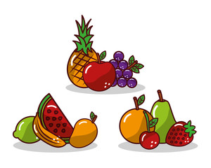 set of fruit fresh tasty apple pineapple grape strawberry lemon vector illustration