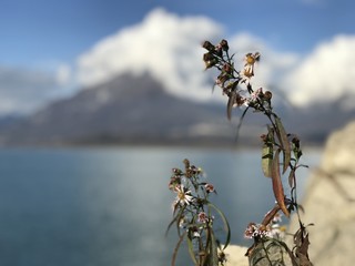 Santa Croce del lago, Belluno