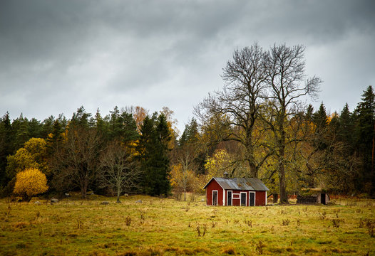 autumn image of a small red house next to two large trees