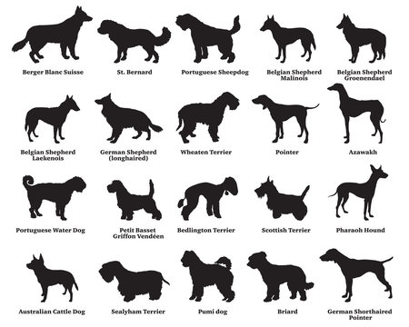 Set of dogs silhouettes-6