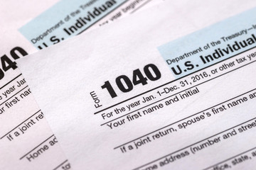 Form of income tax return of individuals