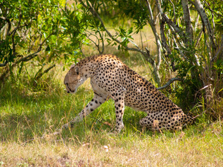 Kenya, Africa. Landscapes, Wildlife and Safari