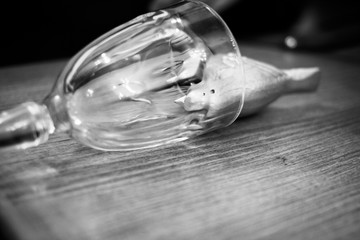 Bird The bird is lying on the table, inverted glass.