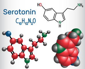 Serotonin molecule, is a monoamine neurotransmitter. Structural chemical formula and molecule model.